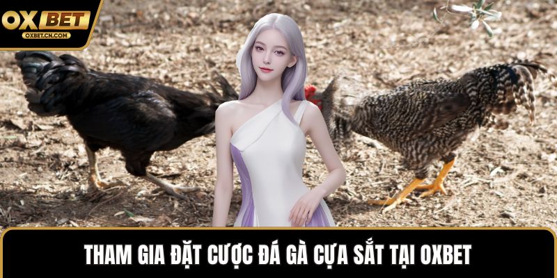 Tham gia đặt cược đá gà cựa sắt tại OXBET