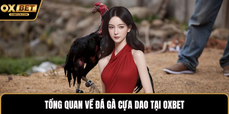 Tổng quan về đá gà cựa dao tại OXBET