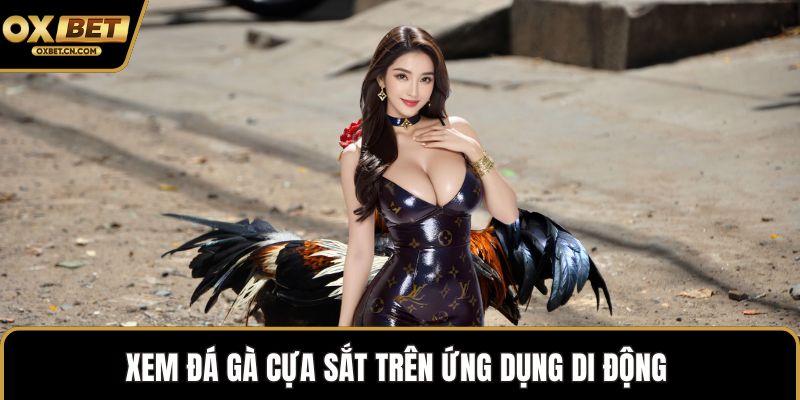 Xem đá gà cựa sắt trên ứng dụng di động 