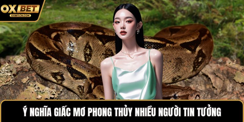 Ý nghĩa giấc mơ phong thủy nhiều người tin tưởng